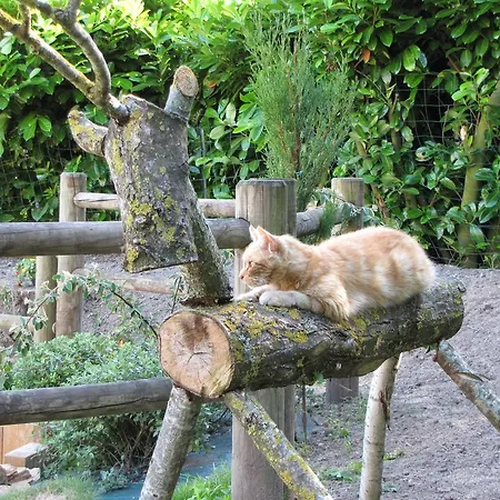 L'ecurie D'hotes בית הארחה