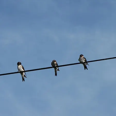 L'ecurie D'hotes בית הארחה