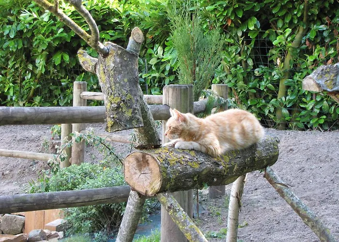 L'ecurie D'hôtes Maison d'hôtes