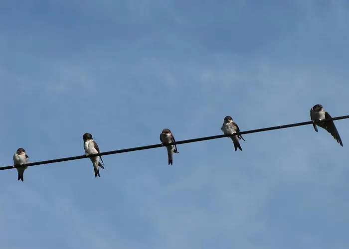 L'ecurie D'hôtes Maison d'hôtes